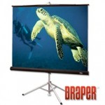 Draper TSDR1717 TRIPOD SCREEN 